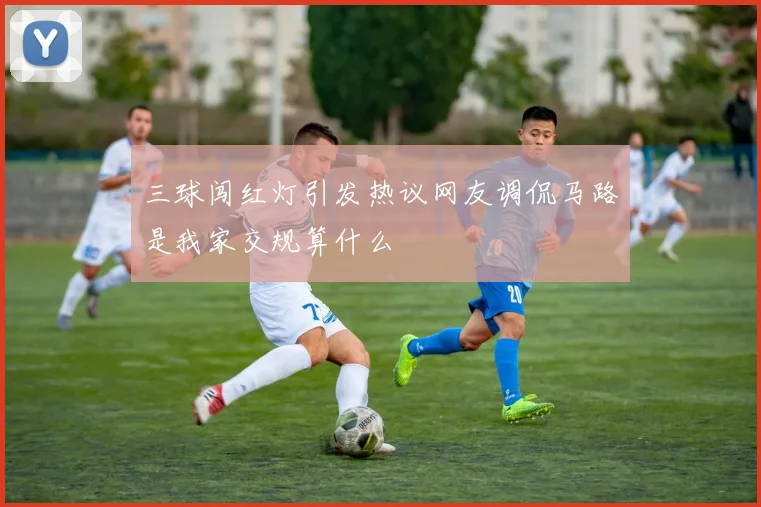 三球闯红灯引发热议网友调侃马路是我家交规算什么